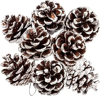 25Pcs Christmas Natural Pine Cones Bulk Rustic Snow Pinecones with String Pine Cone Pendant Winter Holiday Hanging Ornament for Xmas Tree Gift Tag Party Decoration, 1.6-2 Inch