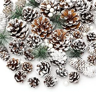 170Pcs Christmas Pine Cones Berry Pine Branch Set Snow Pinecones Pendant White Winter Holiday Ornament for DIY Crafts Home Decorations Xmas Tree Gift Tag Party Supplies, Assorted Sizes