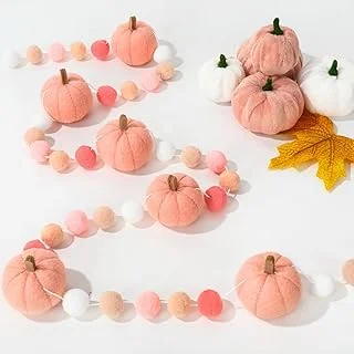 Whaline 8.2Ft Fall Felt Ball Garland Pink Pumpkin Pom Pom Hanging Banner Harvest Pumpkin Felt Ball Garland Cute Autumn Decor for Fall Thanksgiving Festive Party Home Mantel Wall Window